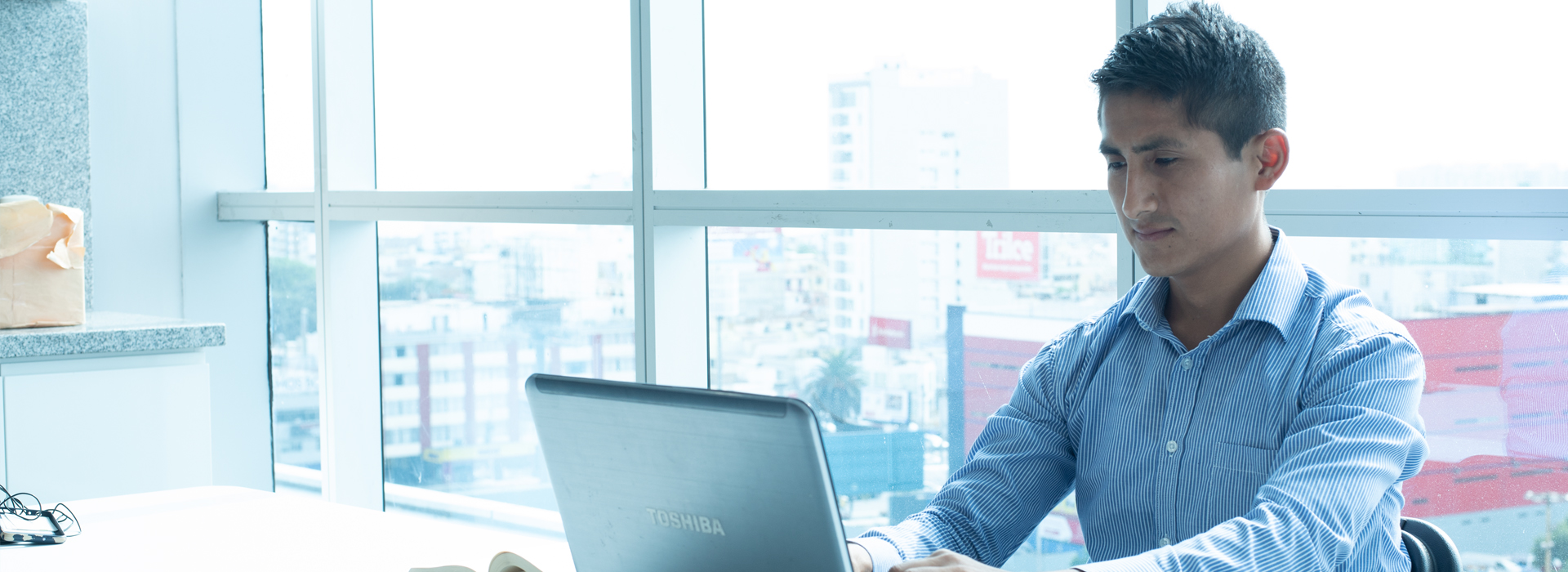 Consultoría y <br> asesoría especializada